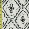 Geo 4/21/25 cgc