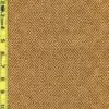 Geo 6/30/25 cgc