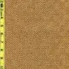 Geo 6/30/25 cgc