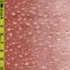 Dots 8/1/25 cgc