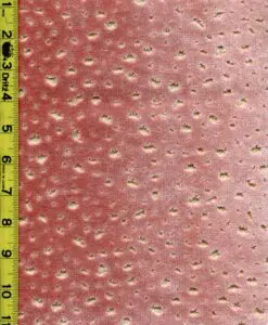 Dots 8/1/25 cgc