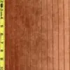 Stripe 8/18/25 cgc