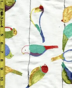 Birds 8/8/25 cgc