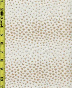 9/19/2025 Dots rkg