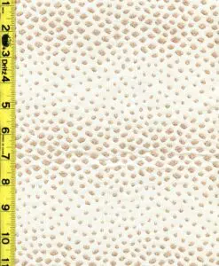 rkg 11/13/2025 dots