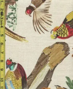 rkg 5/18/2026 novelty
