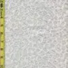 rkg dots 10/26/2026