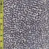 rkg 10/26/2026 dots