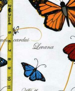 Novelty 7/23/14