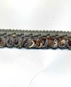 imgt1399