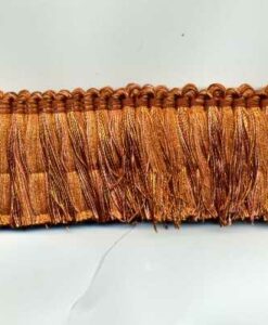 imgt1455