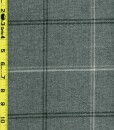 Checks/ Plaid 8/31/24 cgc