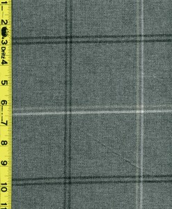 Checks/ Plaid 8/31/24 cgc