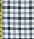 Plaid 5/31/25 cgc