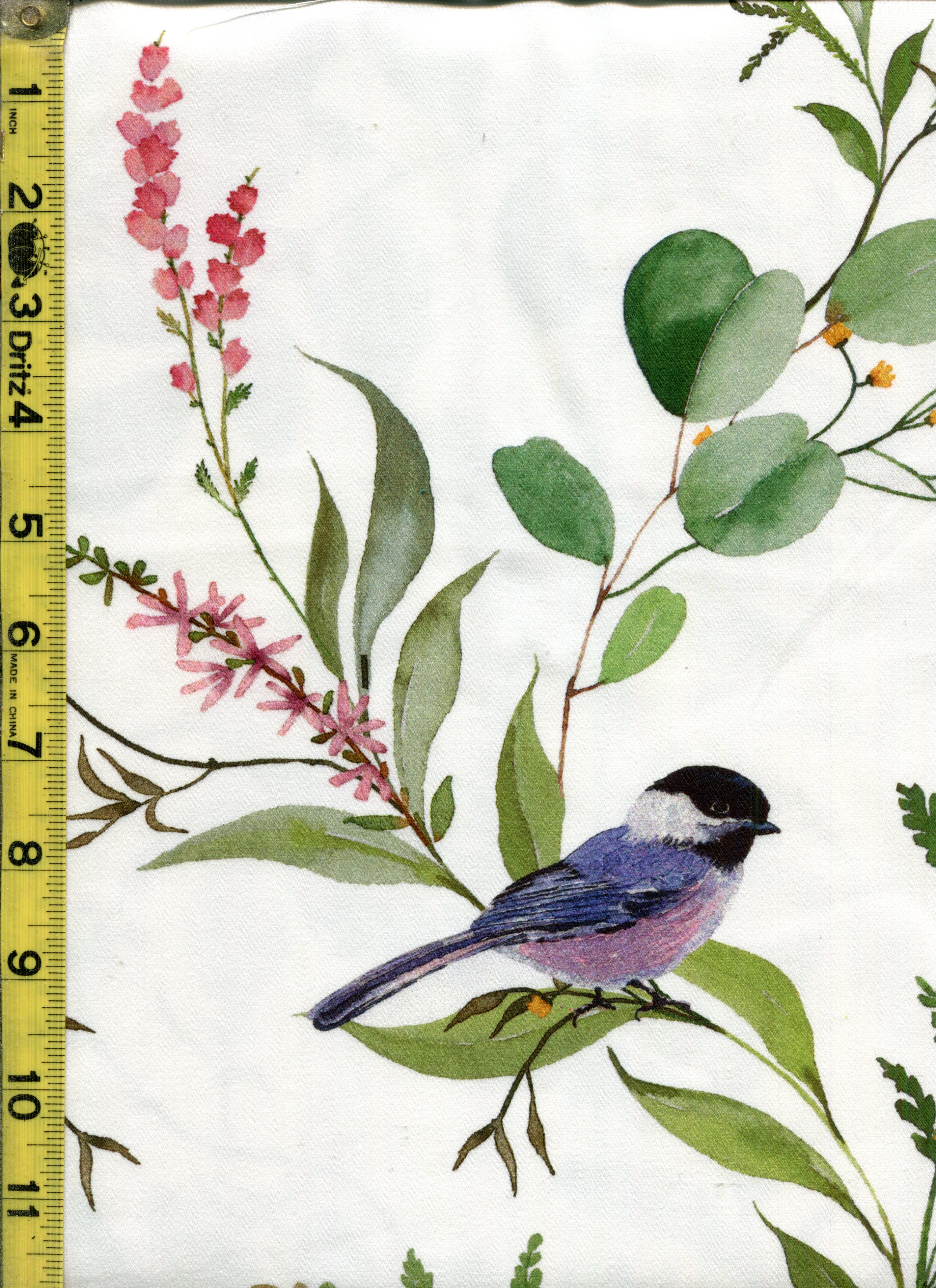 Floral, Fruit, Leaves 9/25/2025 rkg